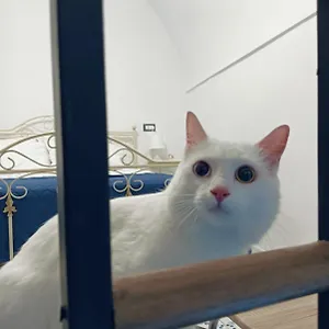 http://